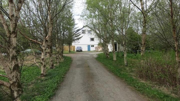 Airbnb And Booking At Postvegen 95 Vigra Εξωτερικό φωτογραφία